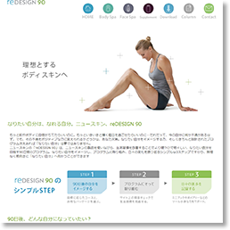 ニュースキン reDesign90